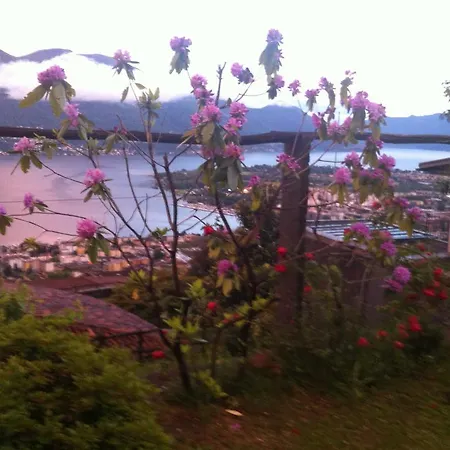 Sonnenstrahl Apartment