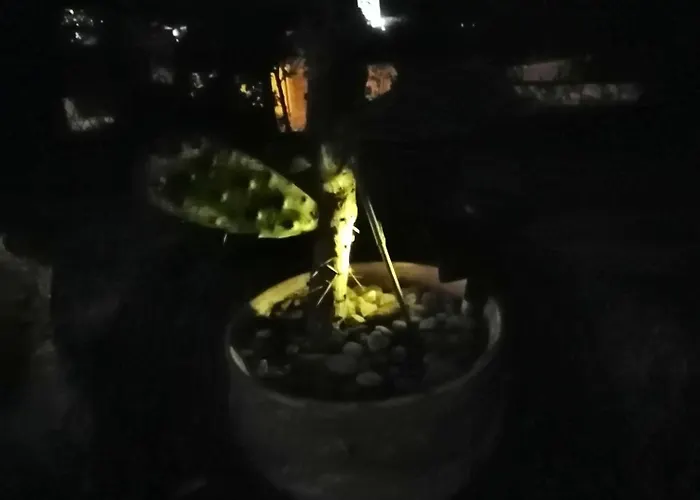 Sonnenstrahl * לוקרנו