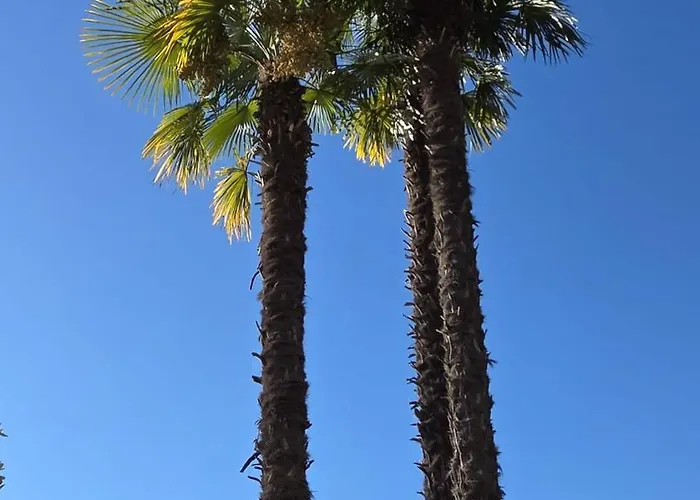 Sonnenstrahl דירה *